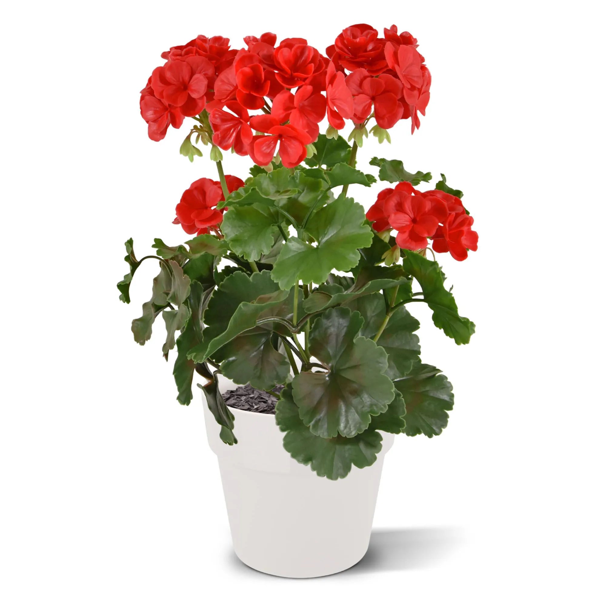 Geranium kunstboeket voor buiten, 38 cm, rood, UV-bestendig.