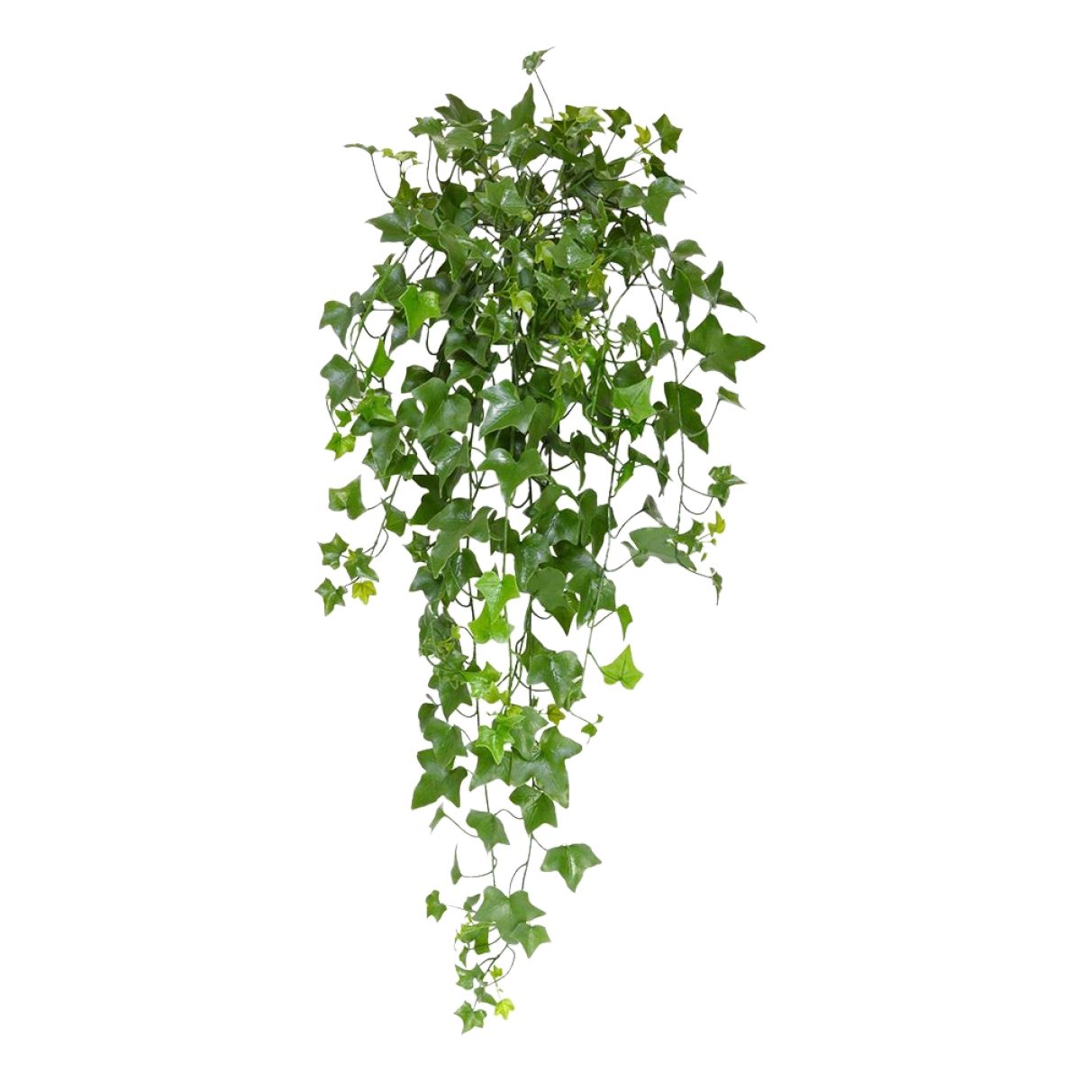 Hedera kunst hangplant 80cm - UV bestendig
