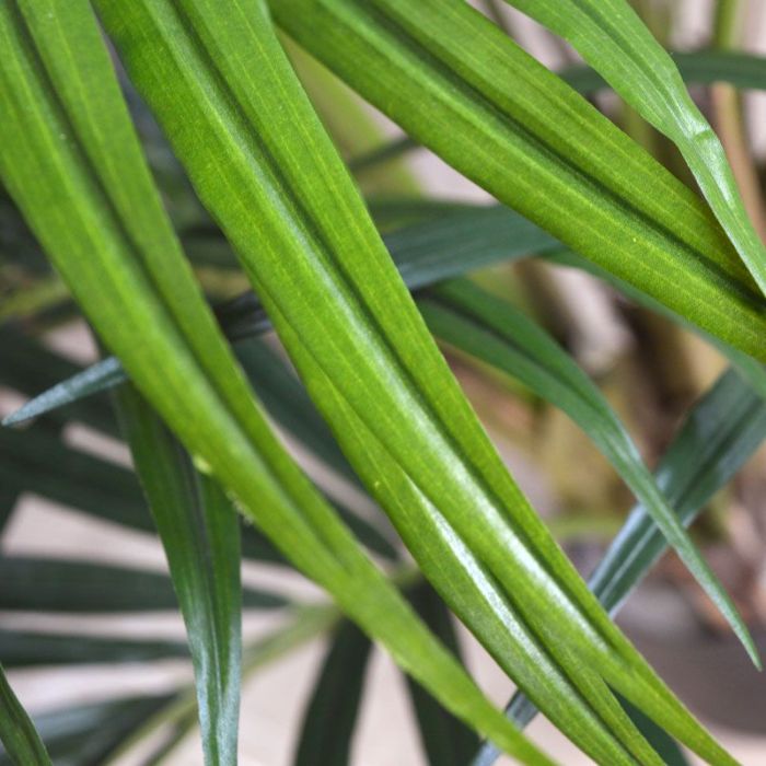 Kentia deluxe kunstpalm XL 140cm