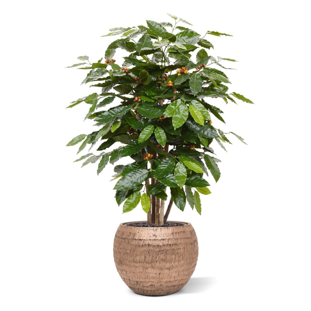 Coffee Arabica kunstplant 100cm