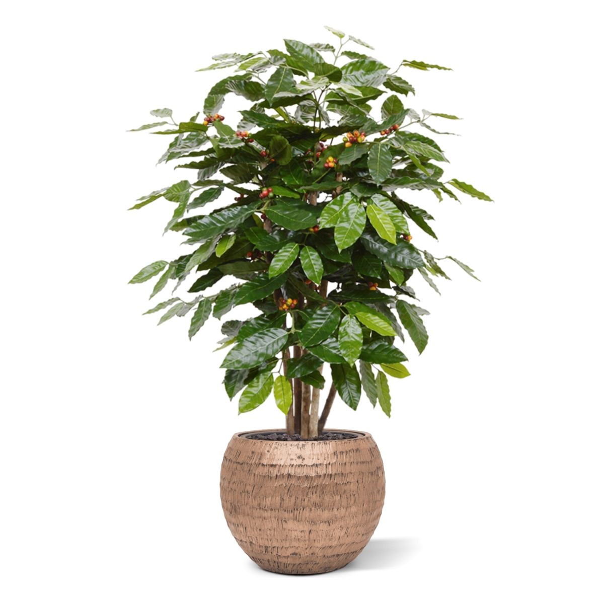 Coffee Arabica kunstplant 100cm
