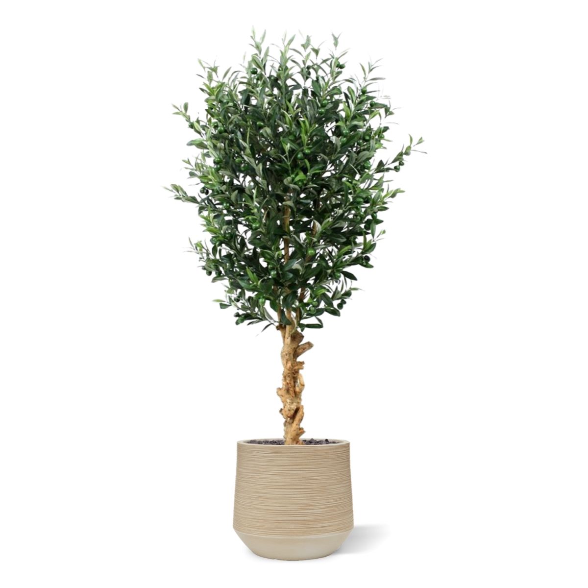 Kunst Olijfboom deluxe 155cm