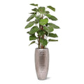 Kunst Pothos Klimplant 125cm Deluxe