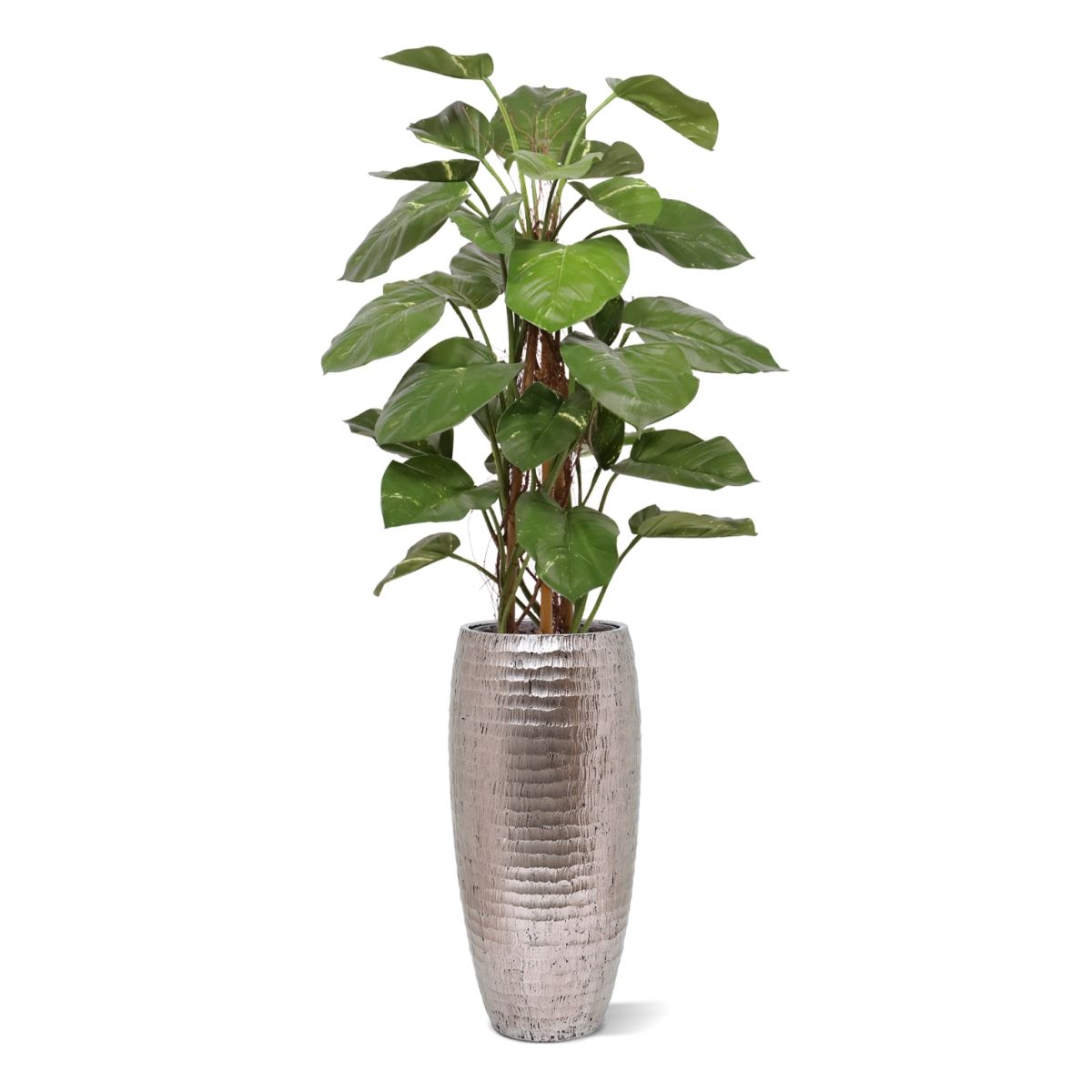 Kunst Pothos Klimplant 125cm Deluxe