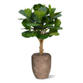 Lyrata deluxe kunstplant op stam 125cm