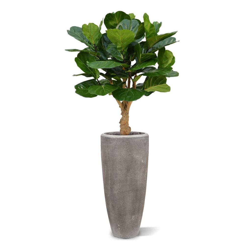 Lyrata deluxe kunstplant op stam 125cm