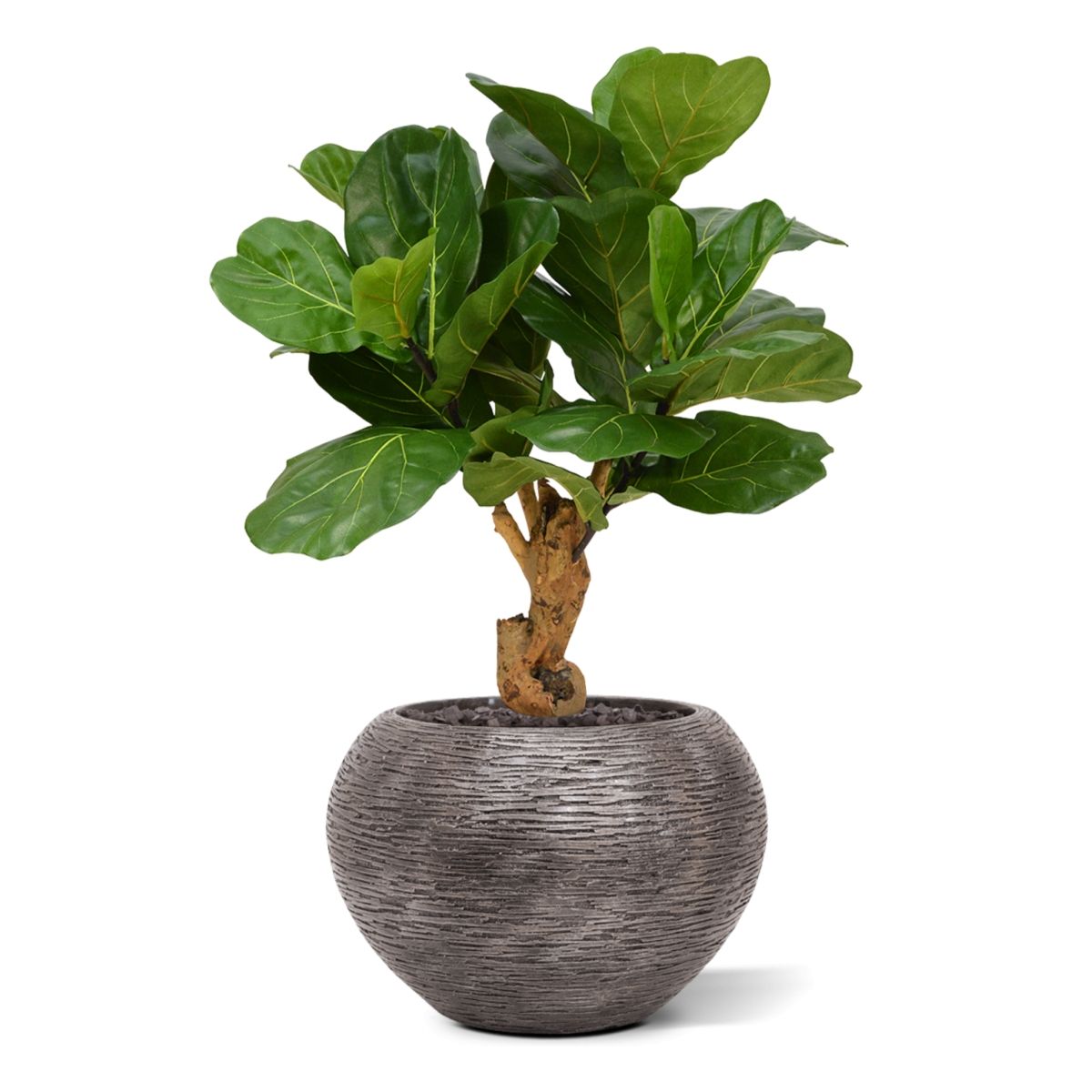 Lyrata deluxe kunstplant op stam 80cm