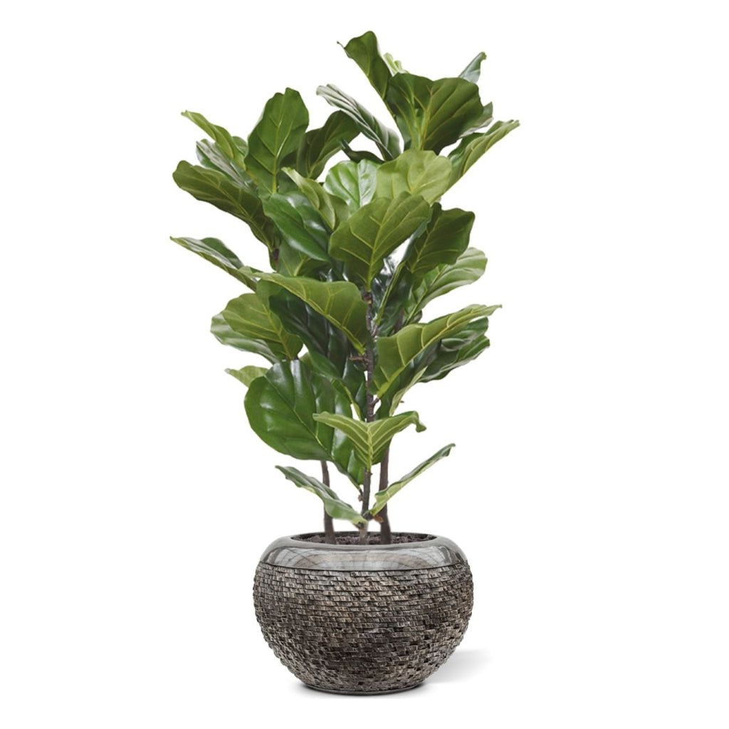 Lyrata kunstplant 95cm
