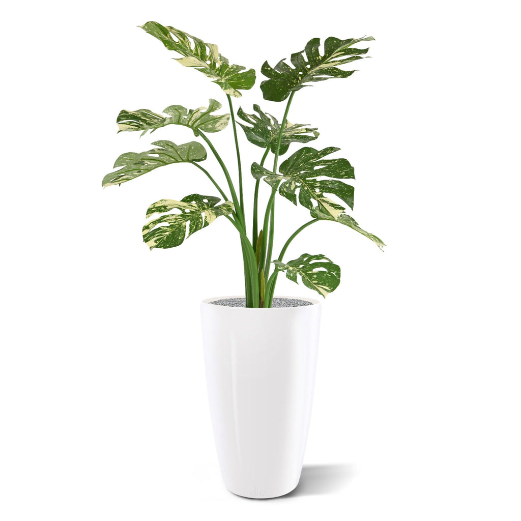 Monstera Deliciosa kunstplant 95cm - groen/bont