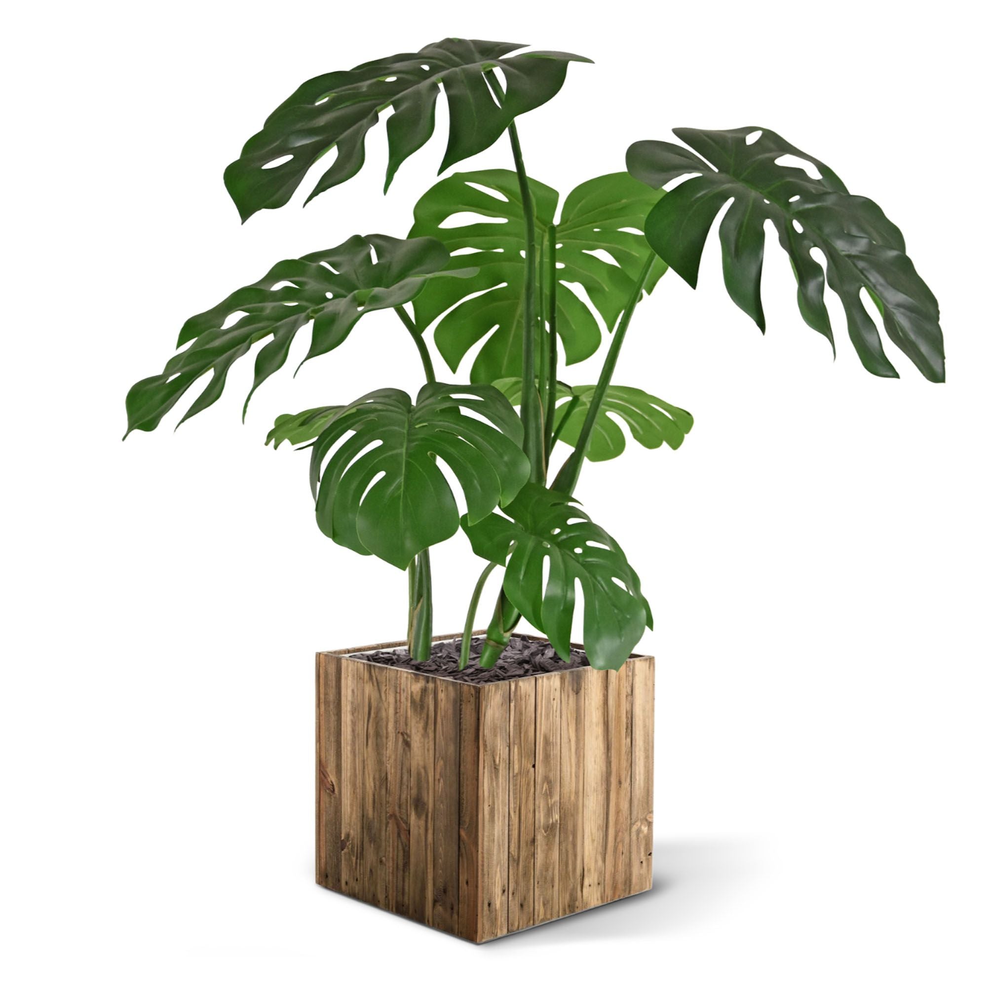 Monstera kunstplant 75cm RT