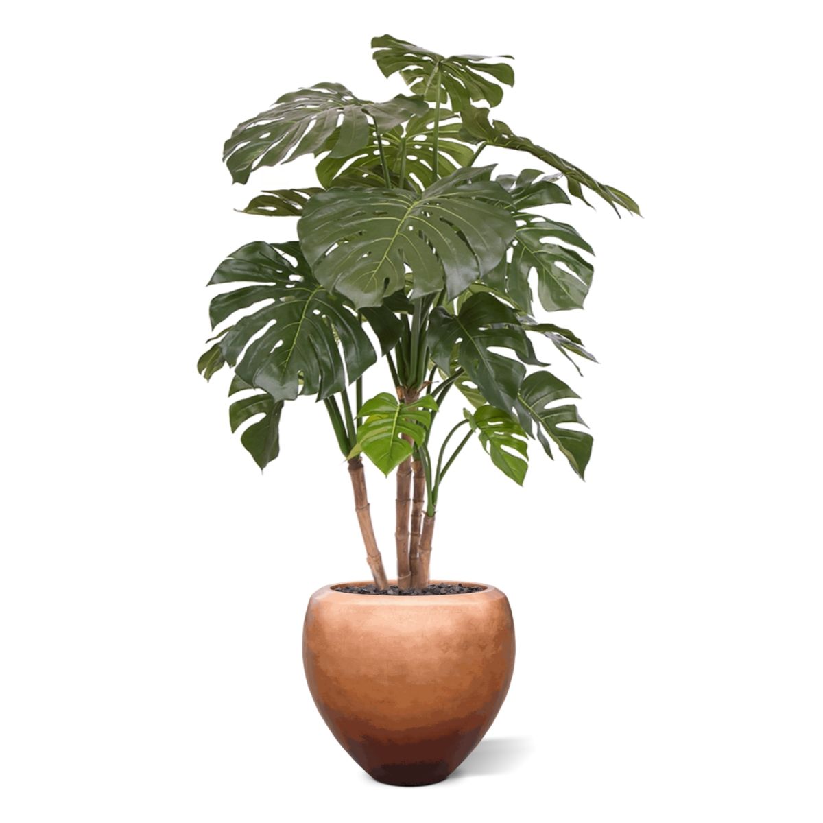 Monstera deluxe kunstboom 140cm