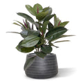 Philodendron Window kunstplant 50cm