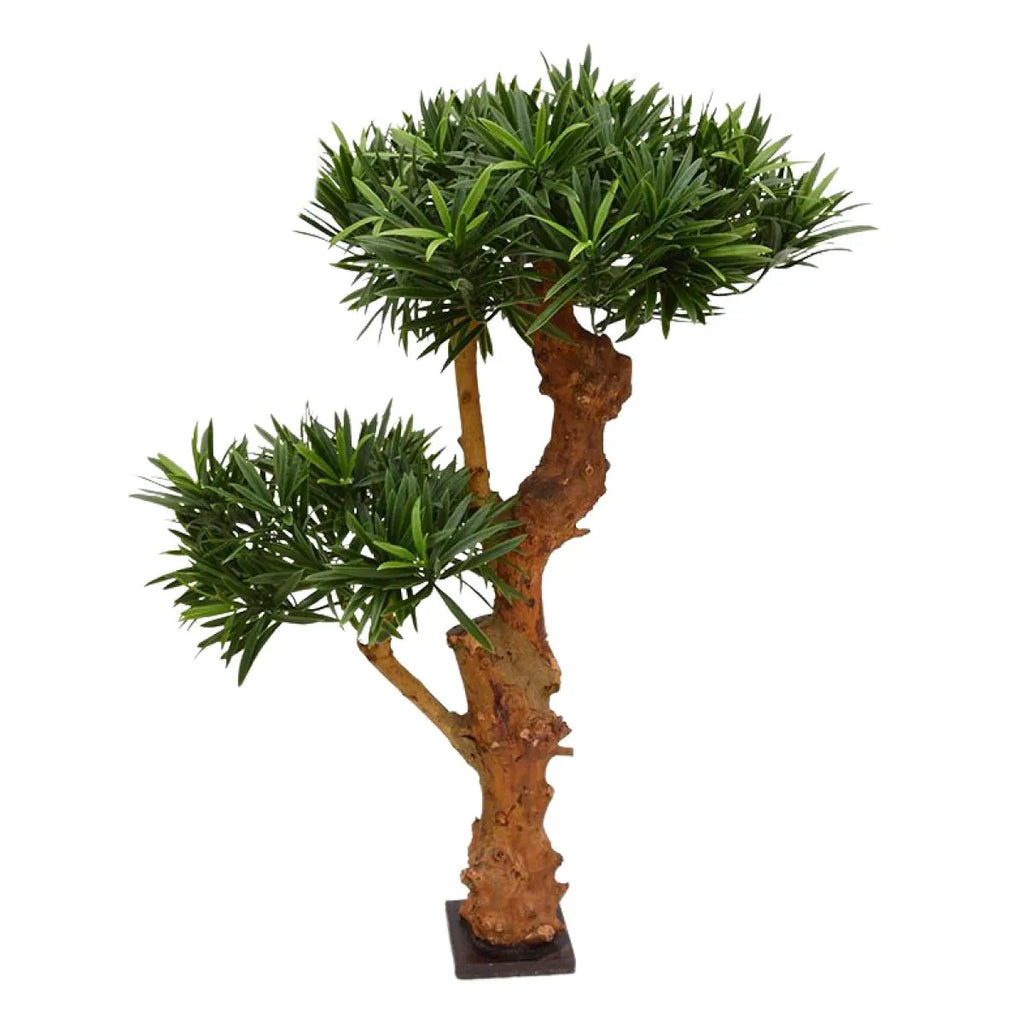 Kunstmatige Podocarpus-plant voor buiten op een echte houten stam van 70 cm met UV-bescherming.