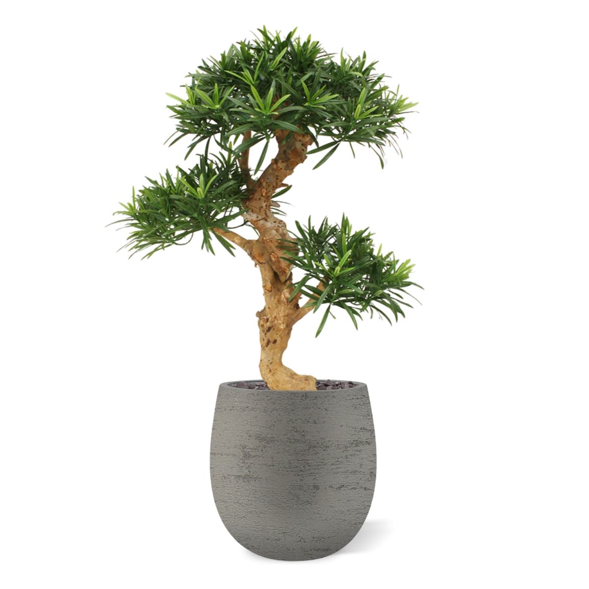 Podocarpus kunstbonsai boom deluxe op voet 65cm