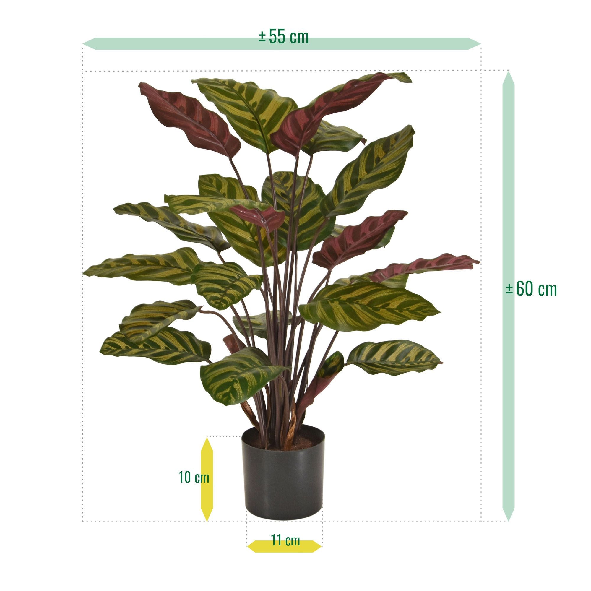 Red Calathea Makoyana kunstplant 60cm