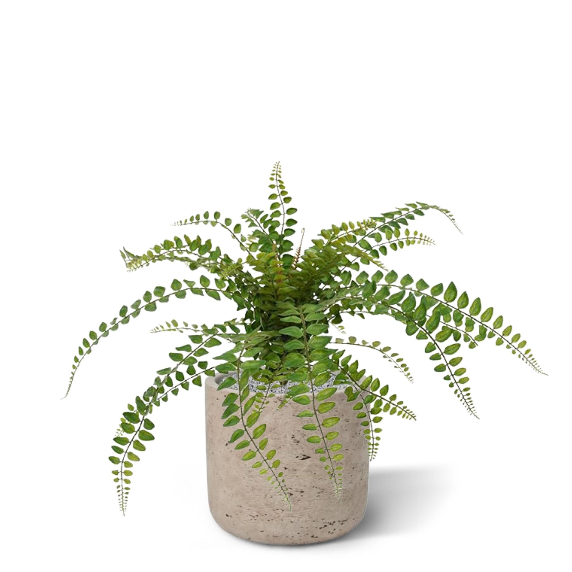 Rotundifolia Varen kunstplant 55cm (met kweekpotje)