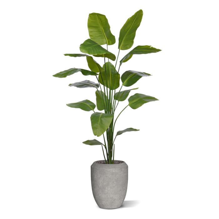 Strelitzia Nicolai kunstplant 210cm