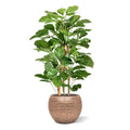 Tetrastigma kunstplant 120cm