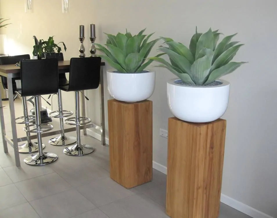 Agaveplant voor buiten, 70 cm hoog, UV-beschermd.