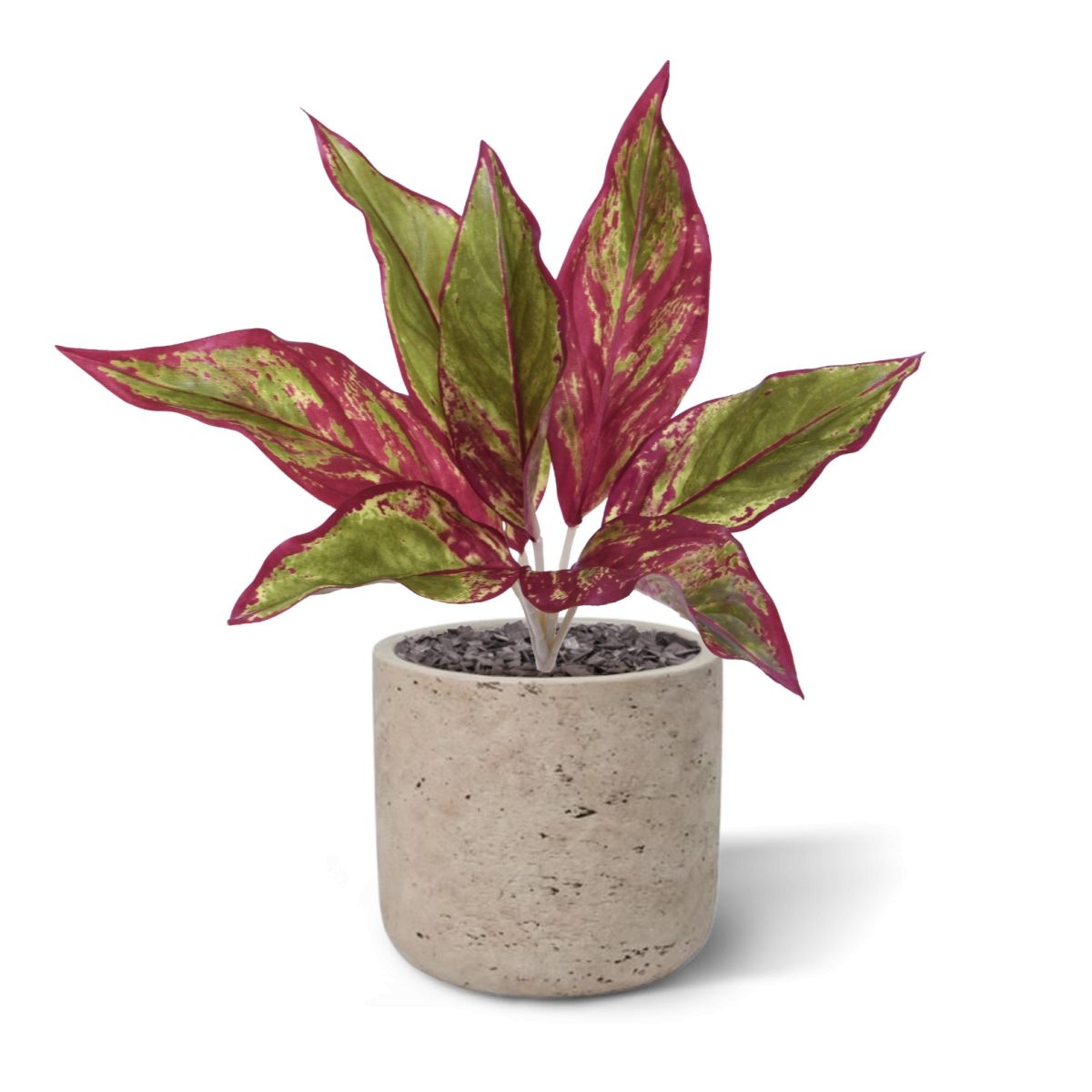 Aglaonema Lipstick kunstplant 35cm