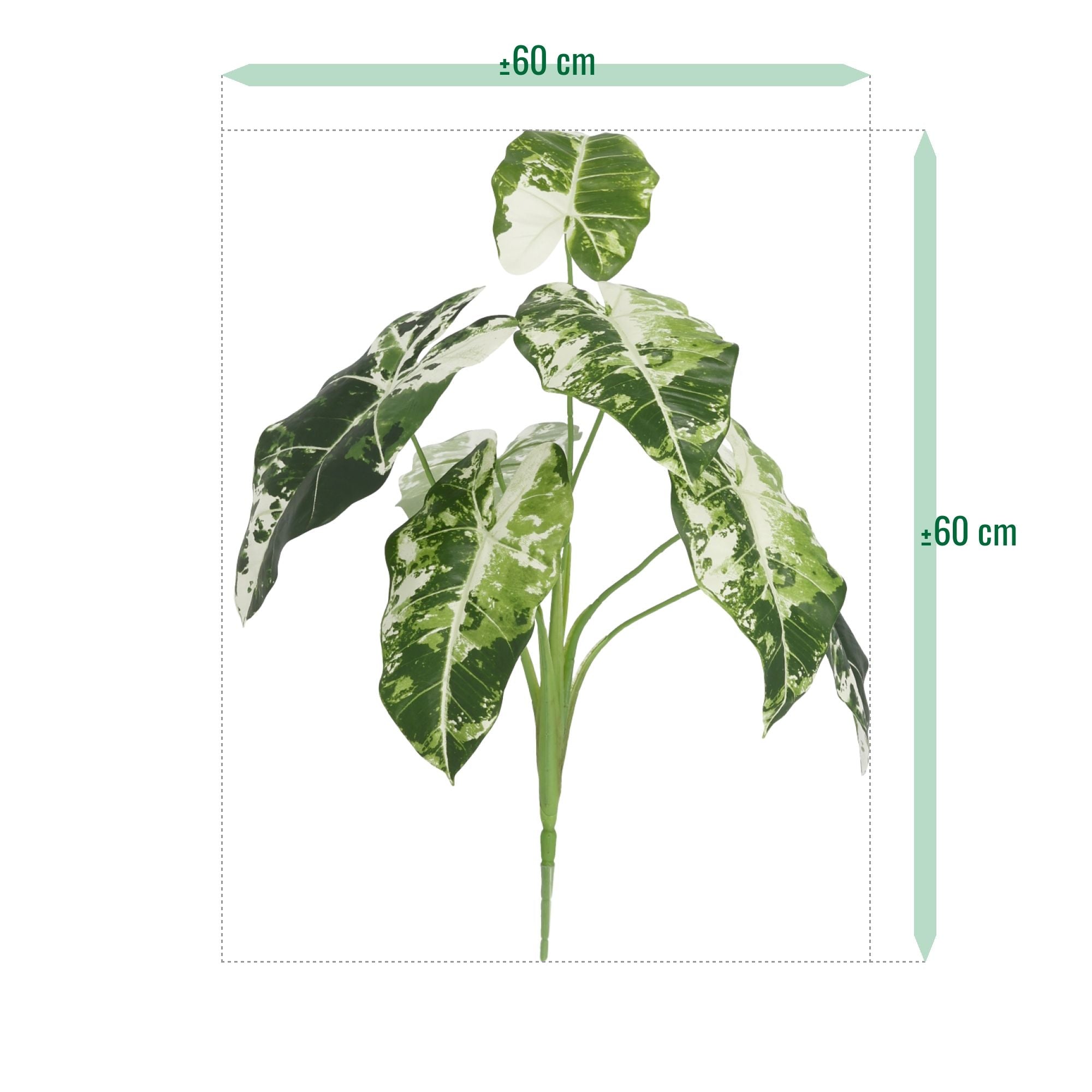 Alocasia Frydek Kunstplant Variegata 60cm