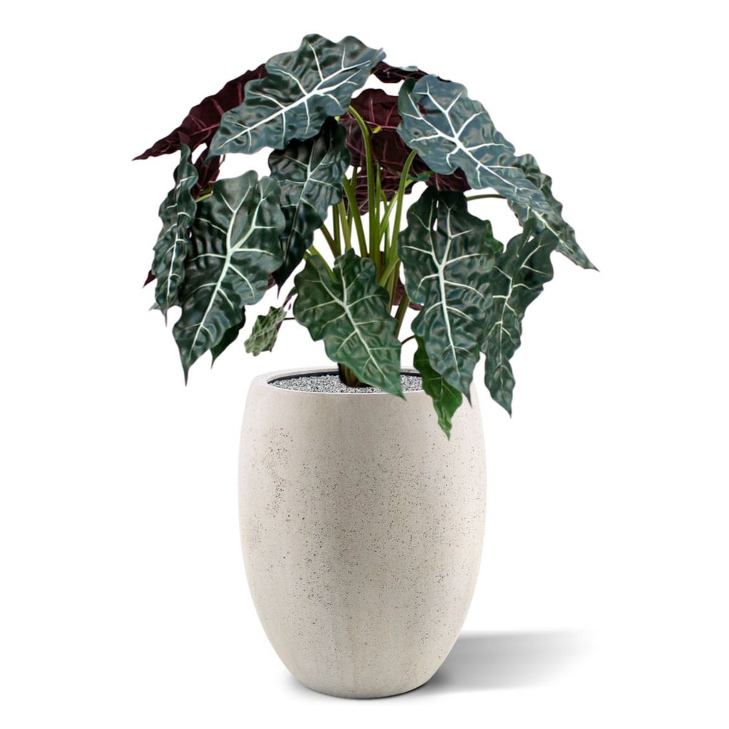Alocasia kunstplant 75cm