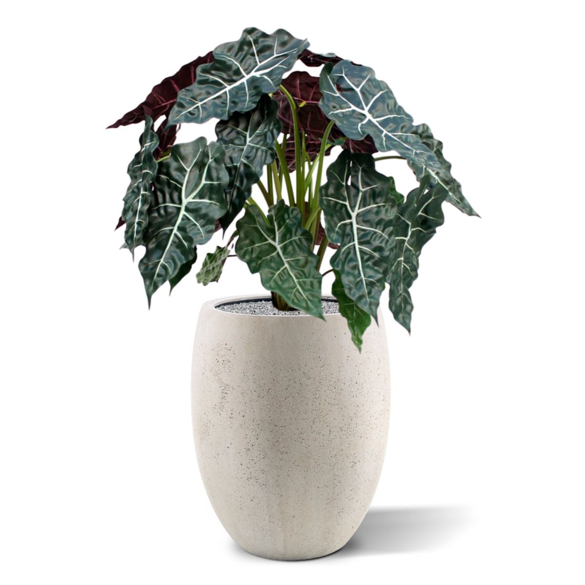 Alocasia kunstplant 75cm