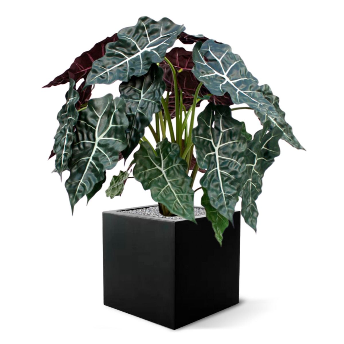 Alocasia kunstplant 75cm