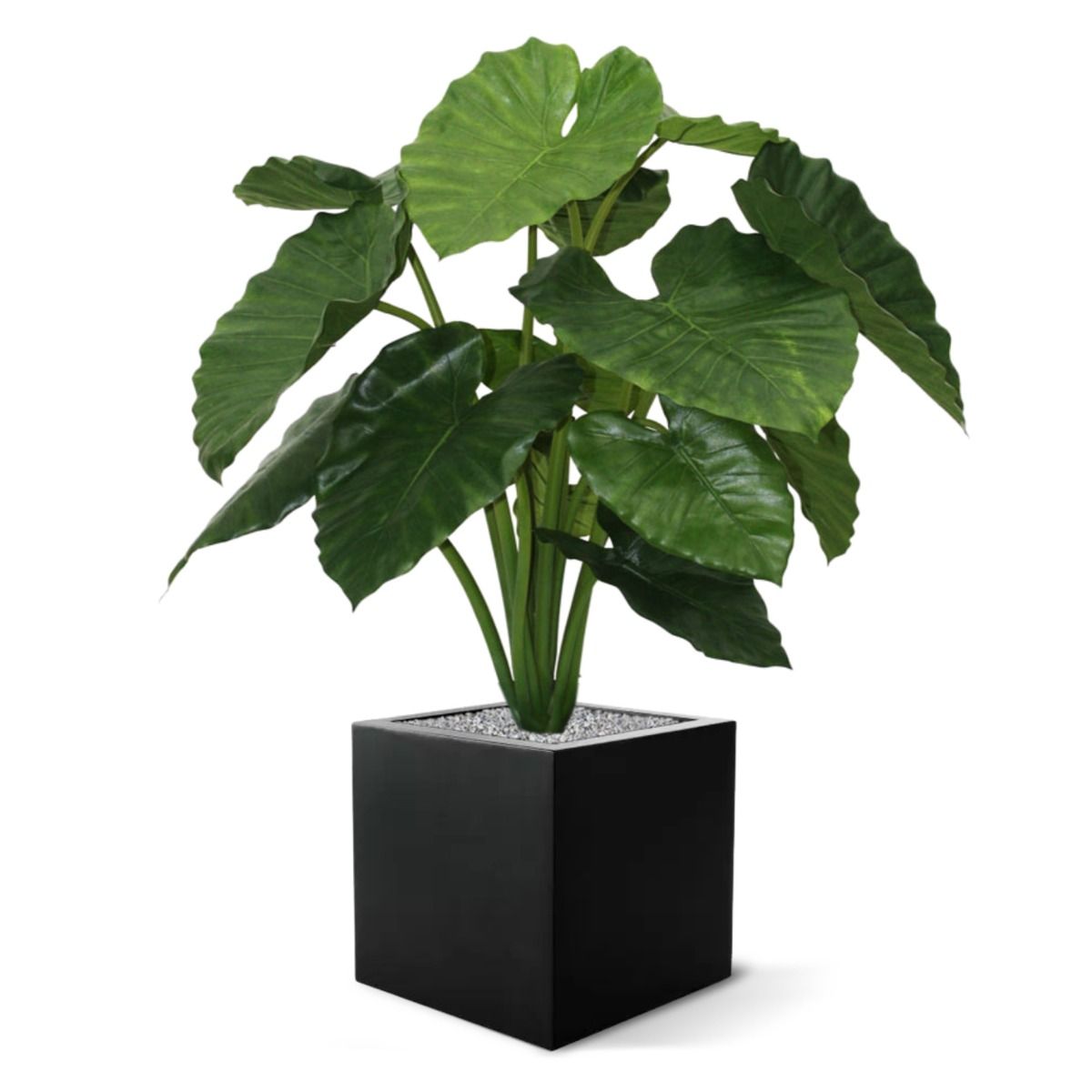Alocasia Calidora kunstplant 80cm