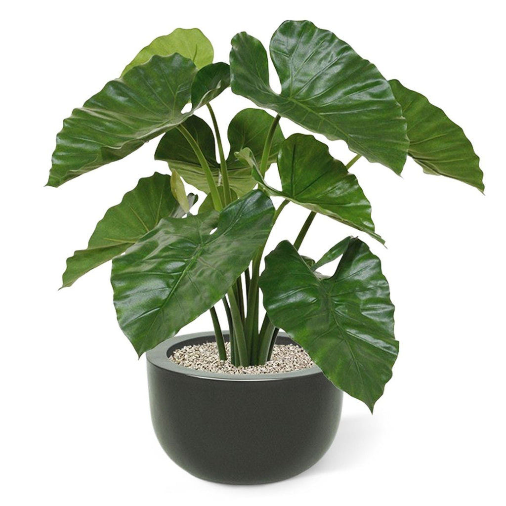 Alocasia Calidora kunstplant 70cm - FR - brandvertragend