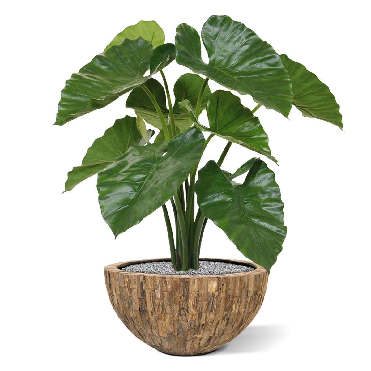 Alocasia Calidora kunstplant 70cm - FR - brandvertragend