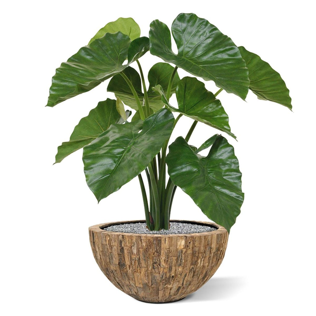 Alocasia Calidora kunstplant 70cm