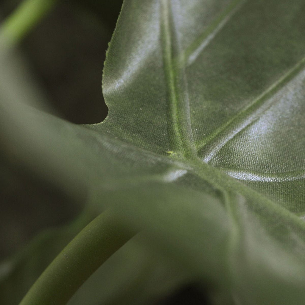 Alocasia Calidora kunstplant 70cm