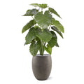 Alocasia Calidora kunstplant 115cm