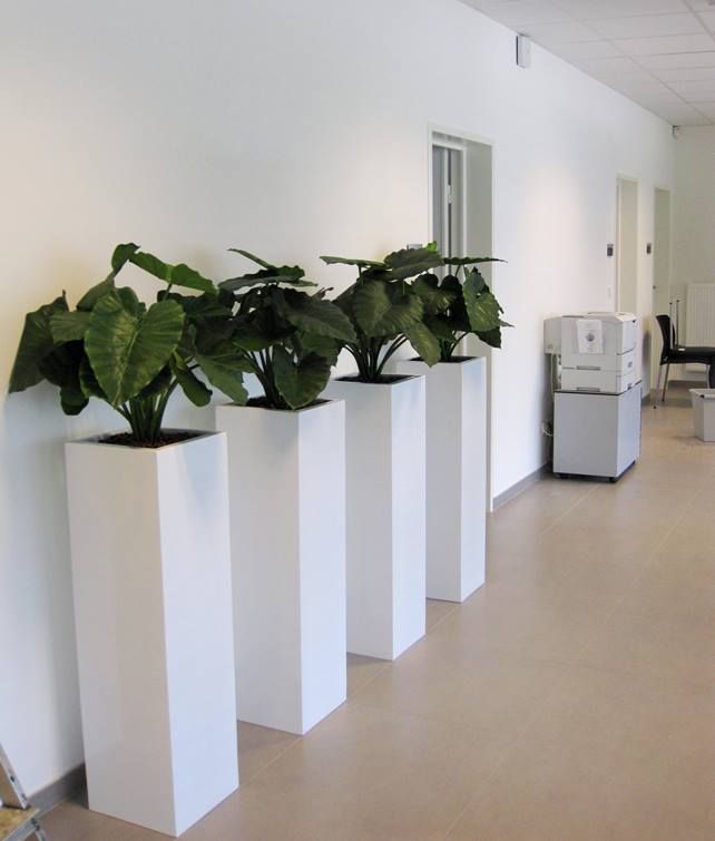 Alocasia Calidora kunstplant 60cm