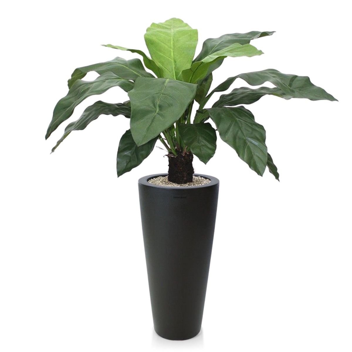 Anthurium Jungle King kunstplant 100cm