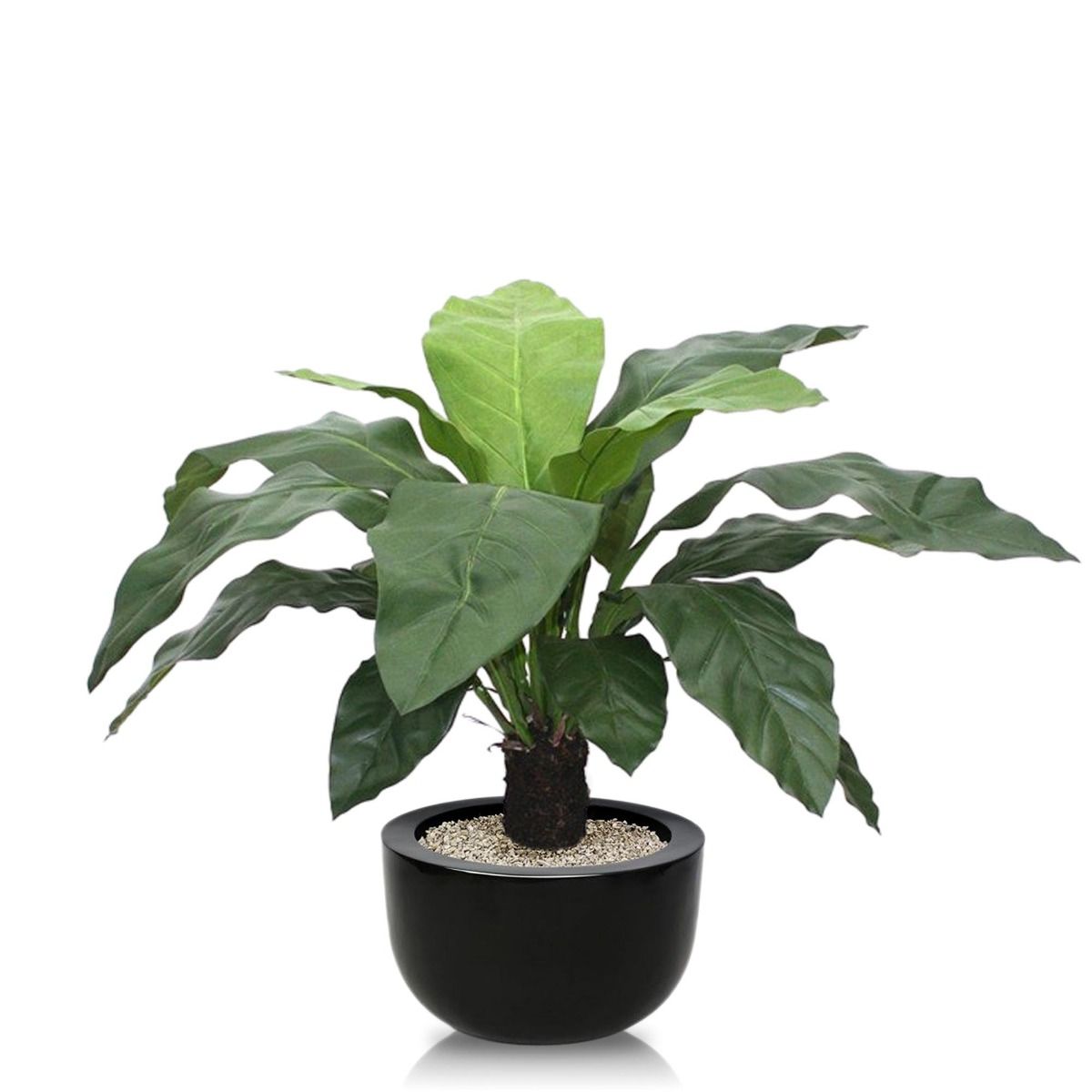 Anthurium Jungle King kunstplant 100cm