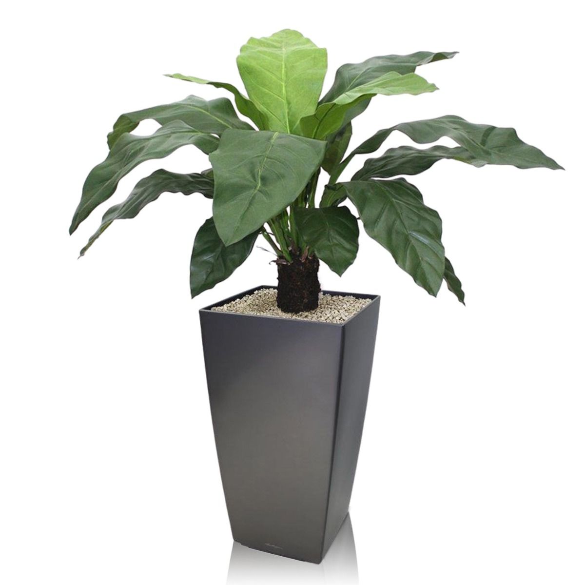 Anthurium Jungle King kunstplant 100cm