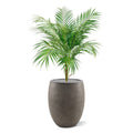 Areca kunstpalm 80cm
