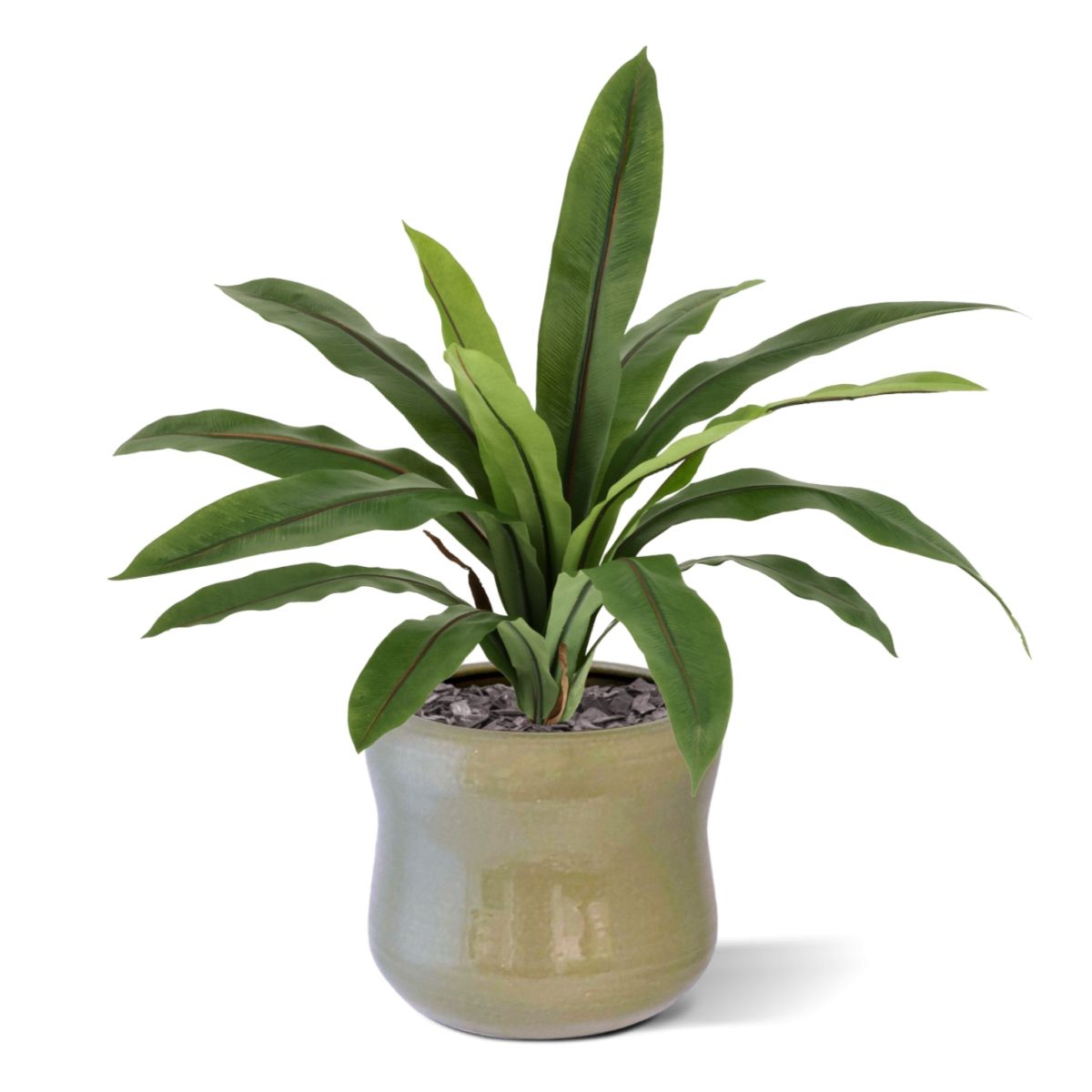 Asplenium Antiquum Kunstvaren 40cm