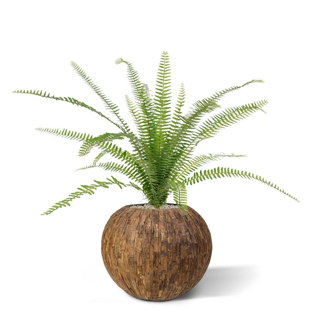 Asplenium Varen kunstplant 75cm