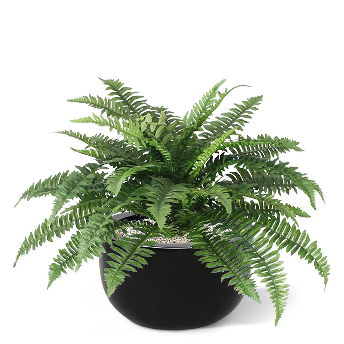 Boston Varen deluxe kunstplant 65cm in pot