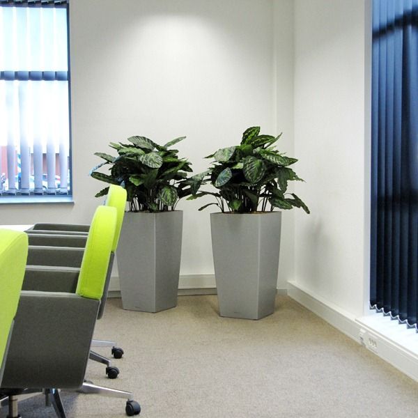 Calathea Rosea Picta kunstplant 80cm