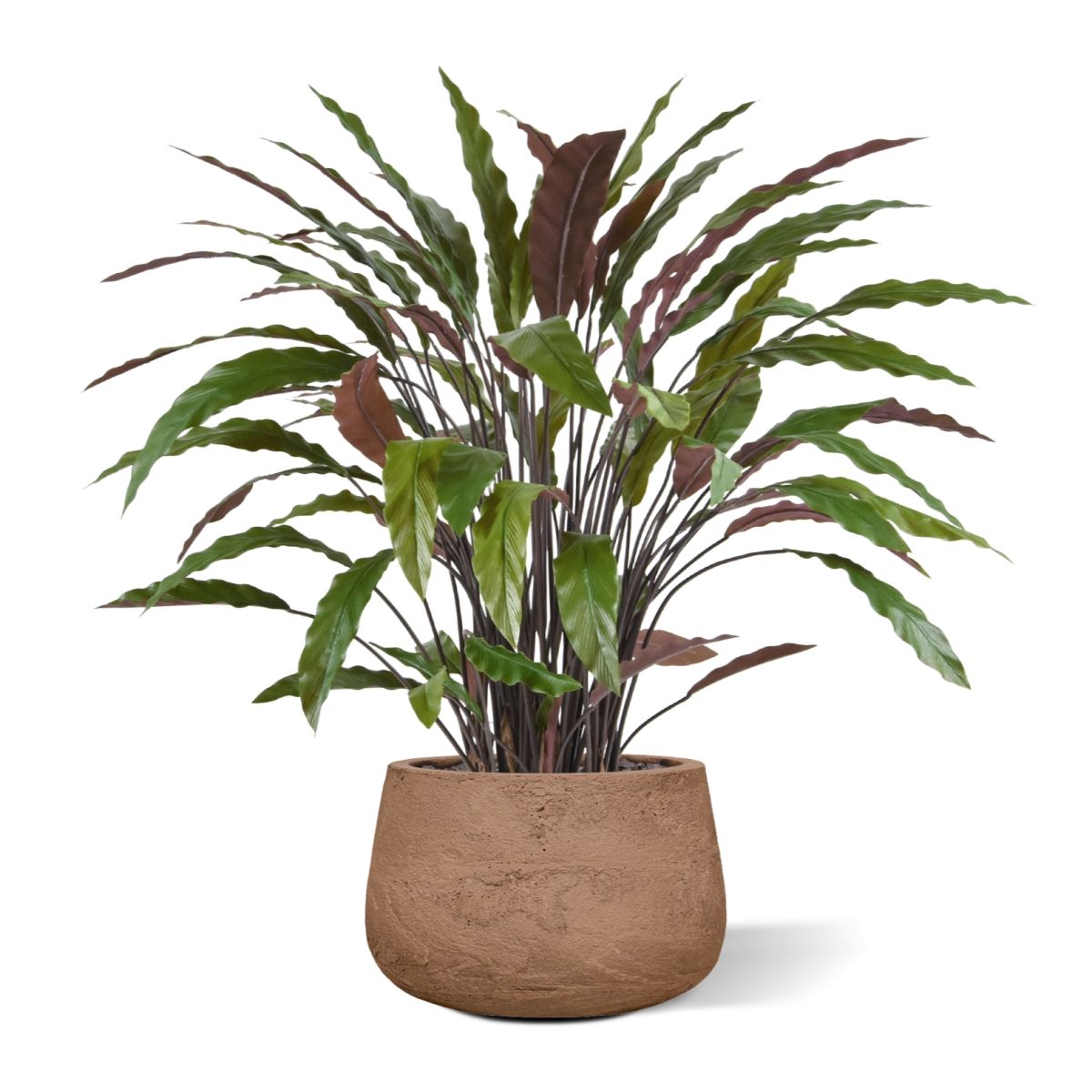 Calathea kunstplant 85cm - groen/rood