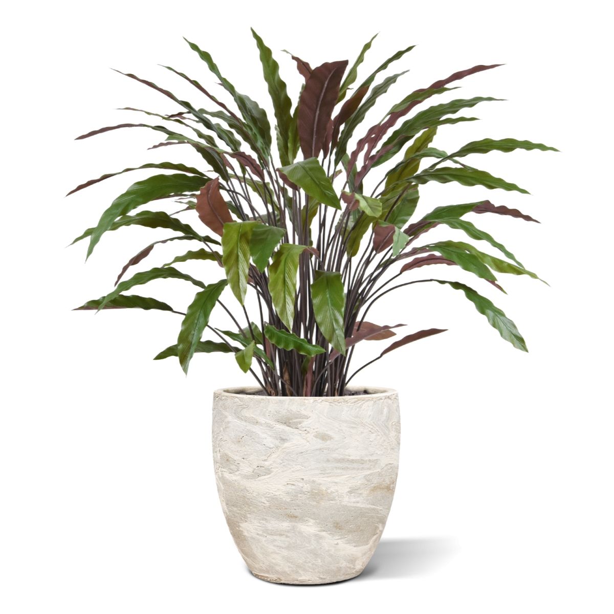 Calathea kunstplant 85cm - groen/rood