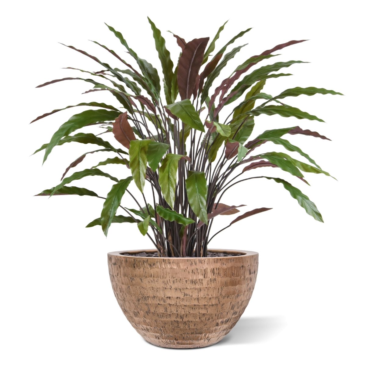 Calathea kunstplant 85cm - groen/rood