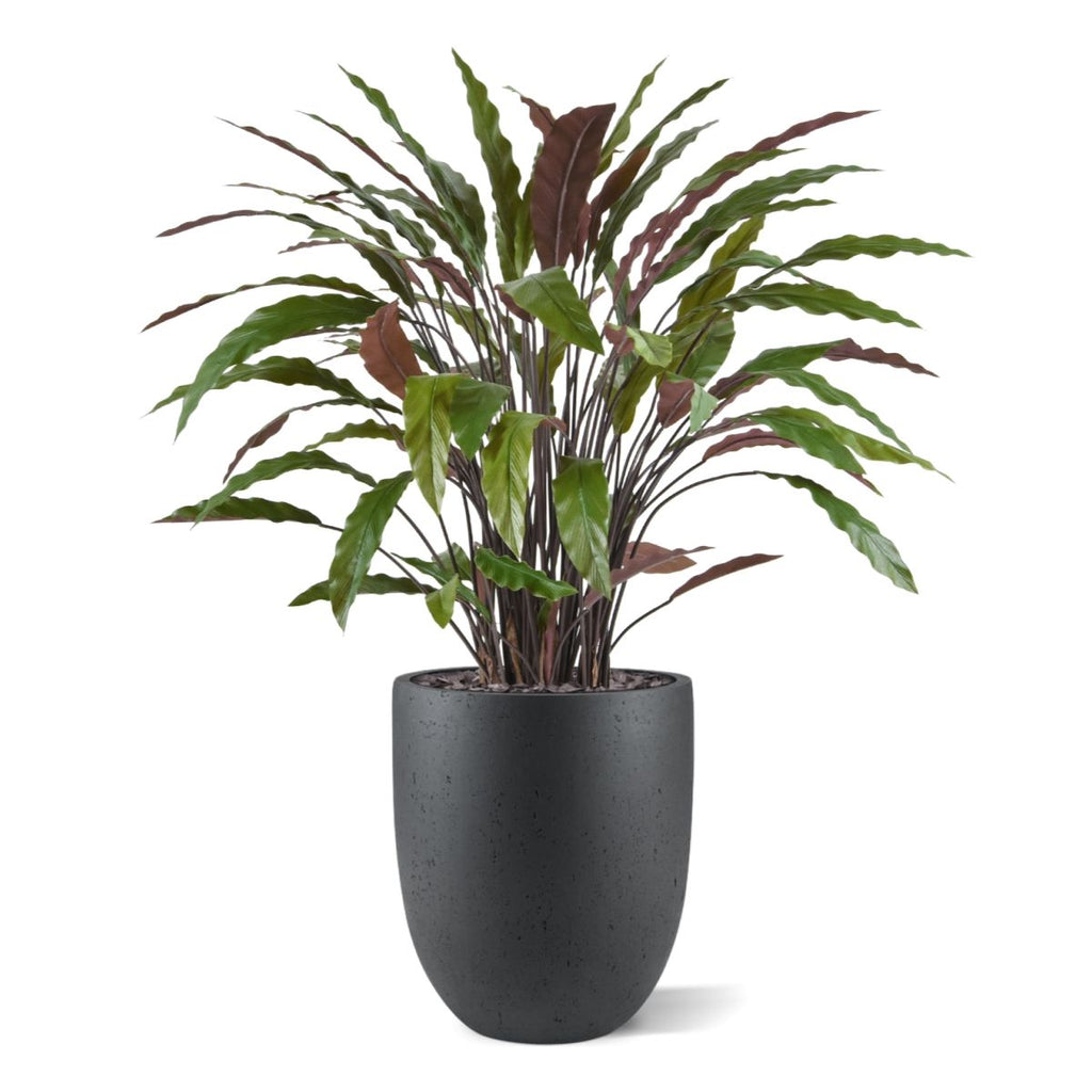 Calathea kunstplant 85cm - groen/rood