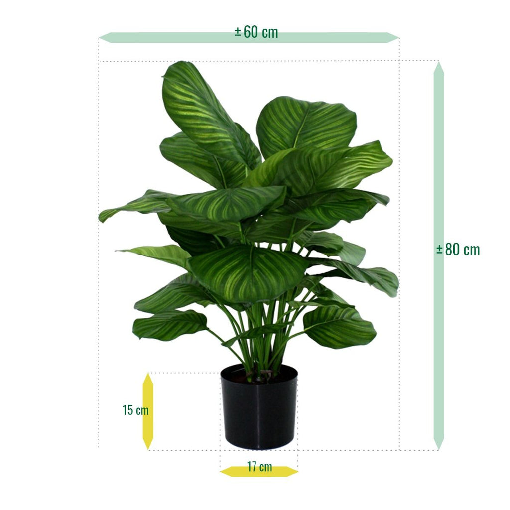 Calathea Fasciata kunstplant 80cm