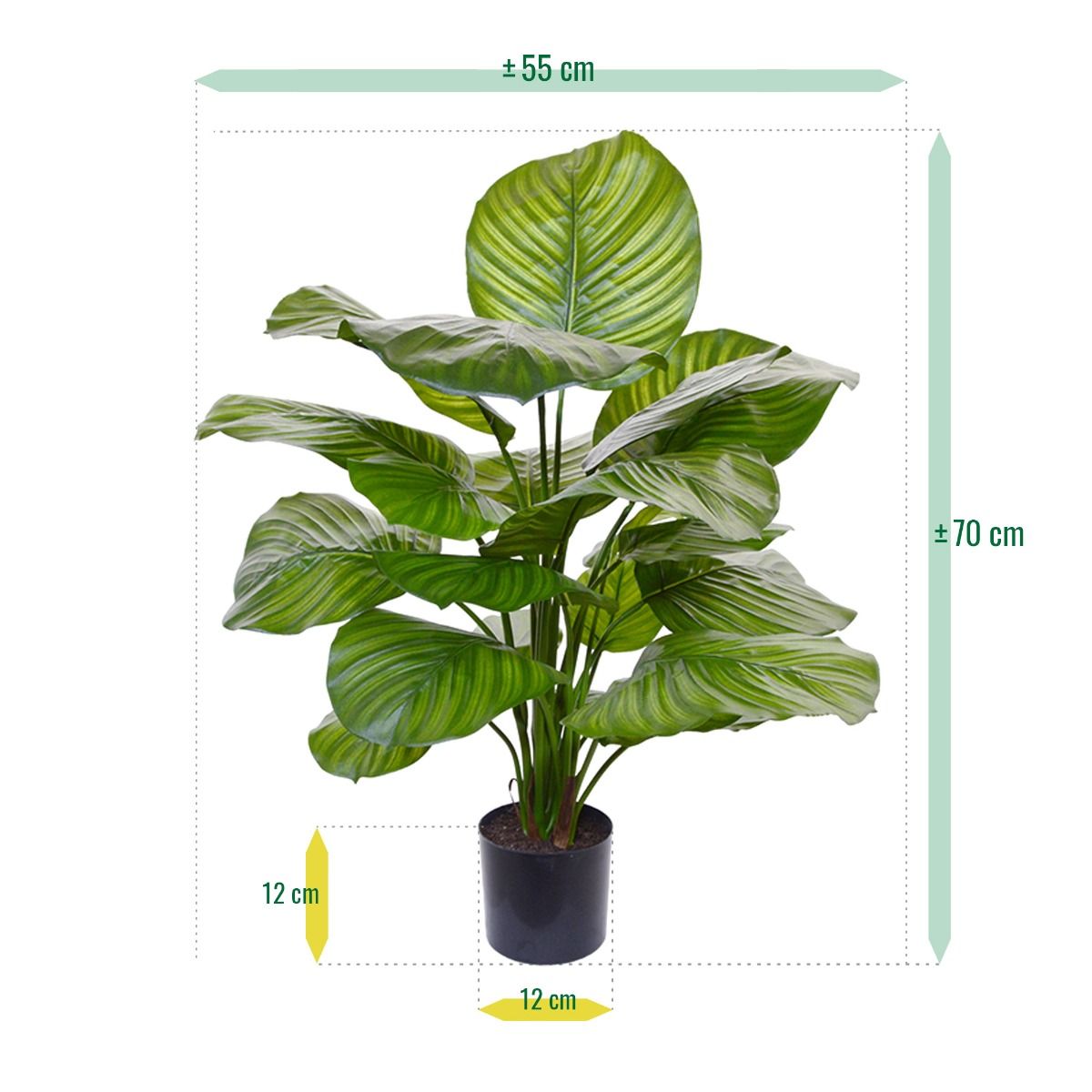 Calathea Fasciata kunstplant 70cm