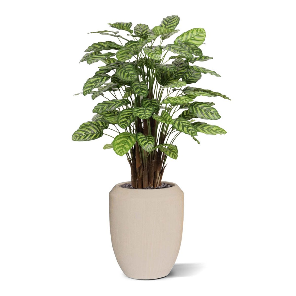 Calathea Makoyana kunstplant Deluxe 115cm